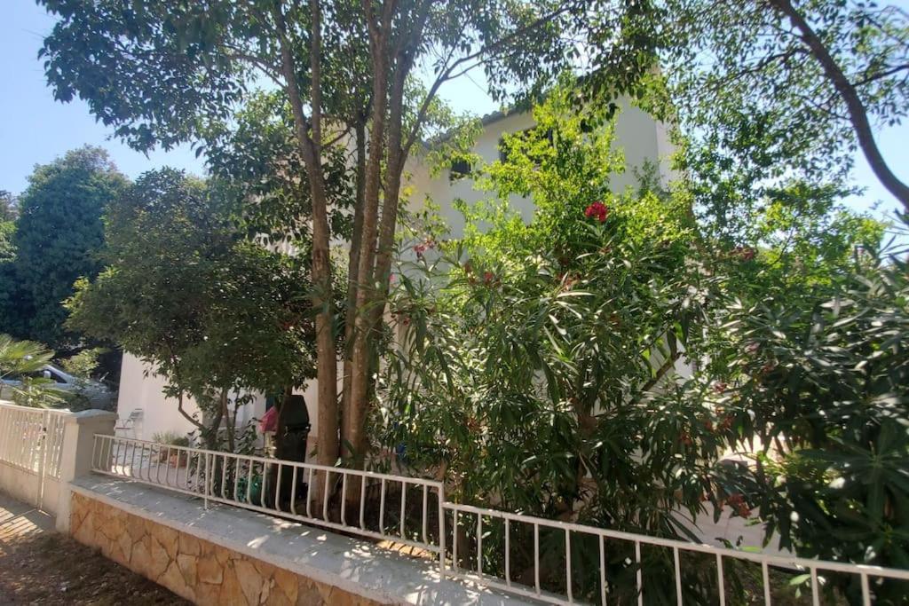 Appartamento Casa Blanca, Biograd Na Moru Esterno foto