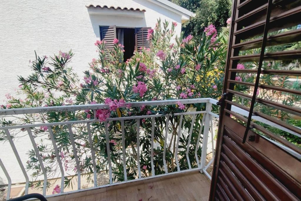 Appartamento Casa Blanca, Biograd Na Moru Esterno foto